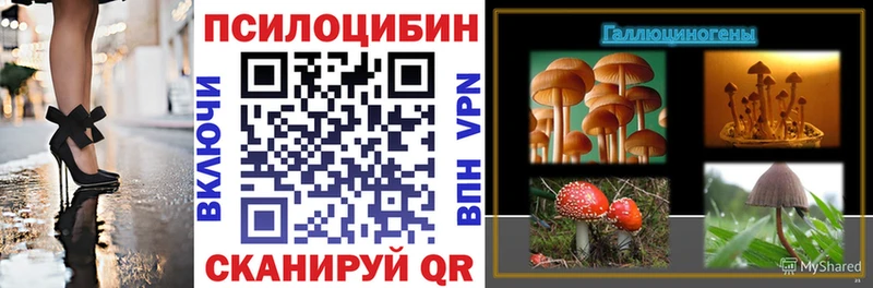 купить  сайты  Челябинск  Галлюциногенные грибы GOLDEN TEACHER 