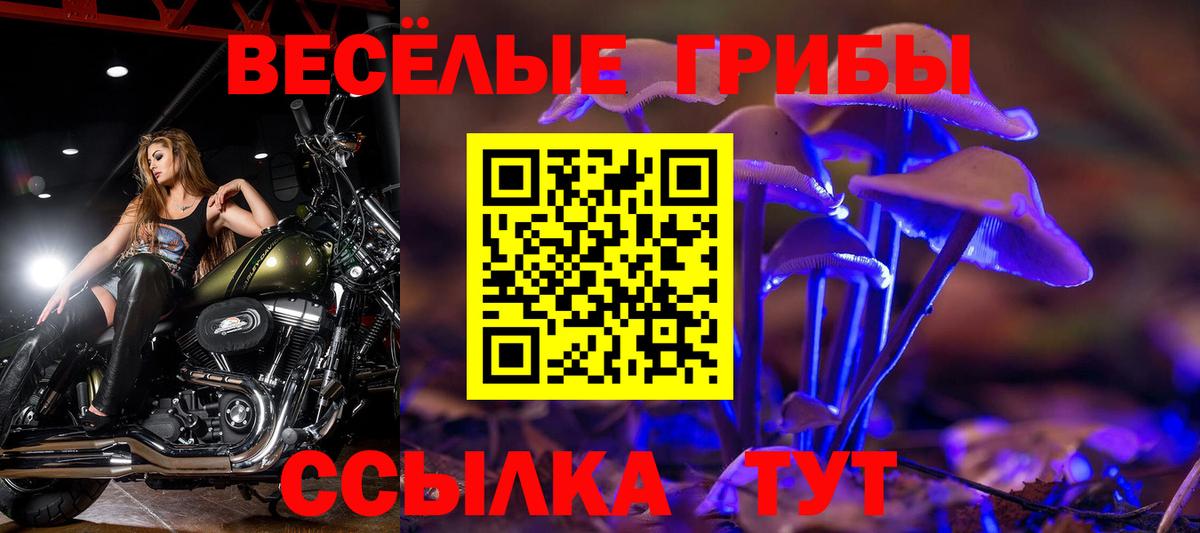 Челябинск  Галлюциногенные грибы ЛСД  Галлюциногенные грибы Magic Shrooms  Вход с VPN 