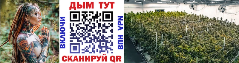 наркотики  Челябинск  Бошки марихуана гибрид 